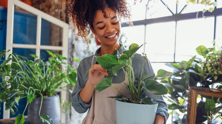 A smiling brown-skinned woman handles a potted houseplant.