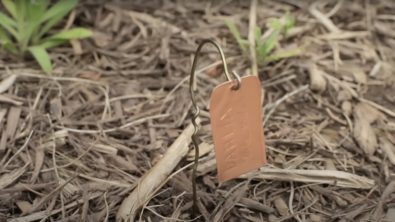 A copper plant label hangs from a hook made from a wire clothes hanger.