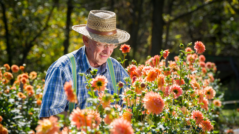 A man surrounded by orange flowers