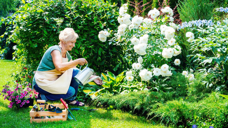 A woman tending to border plants along the edge of a garden bed
