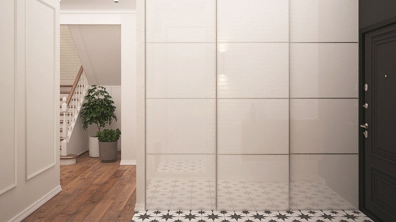 Front entrance with black door and white gloss closets