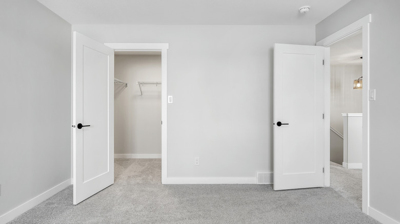 White single-panel doors to the closet and bedroom entrance