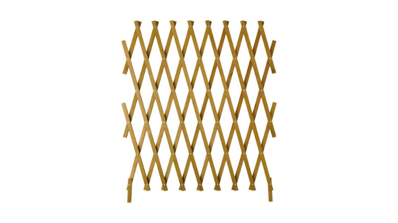 Belavi's Wooden Trelliss on a white background