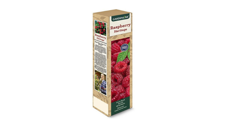 Gardenline's Raspberry Heritage Fruit Bush on a white background