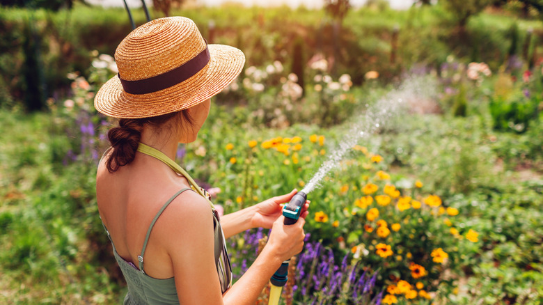 A person watering the garden with a hose