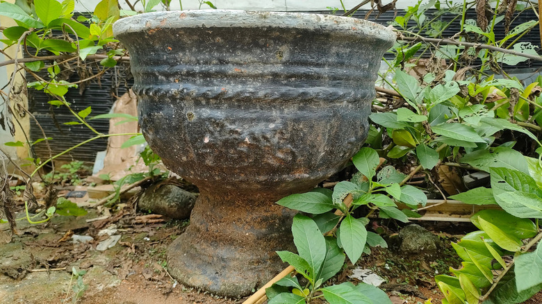dirty concrete planter in garden