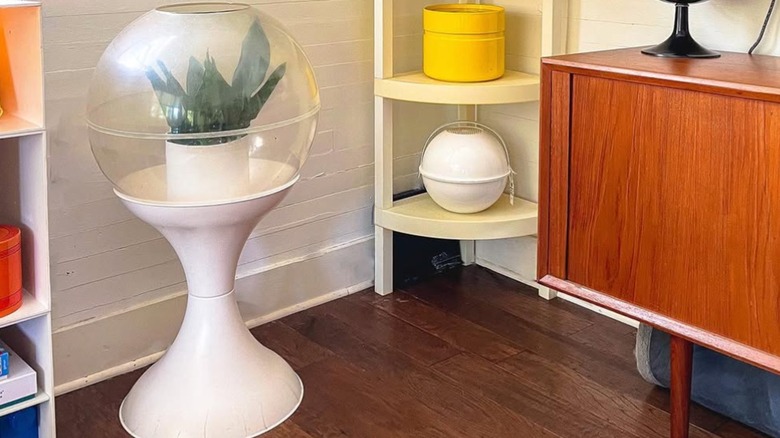 A space age terrarium with a plant inside.