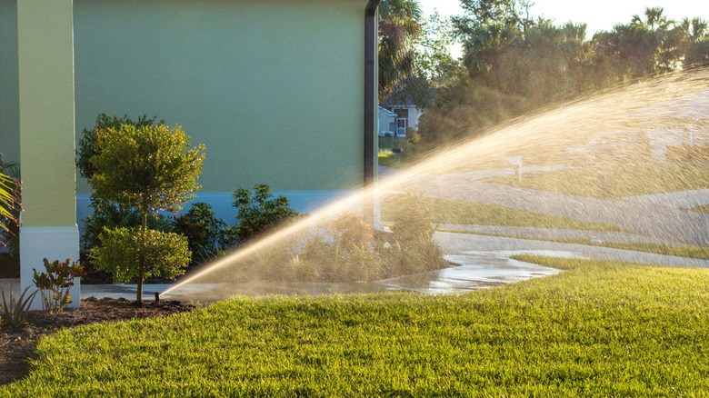 Sprinklers watering the grass in a lawn