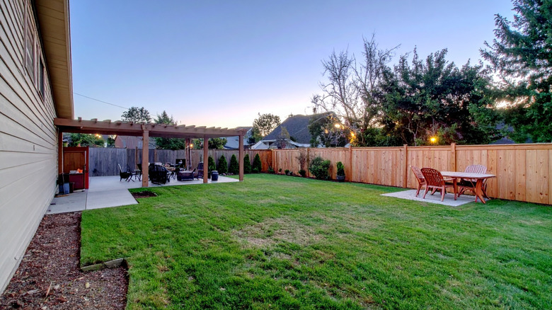 Empty backyard with green lawn and wooden fence