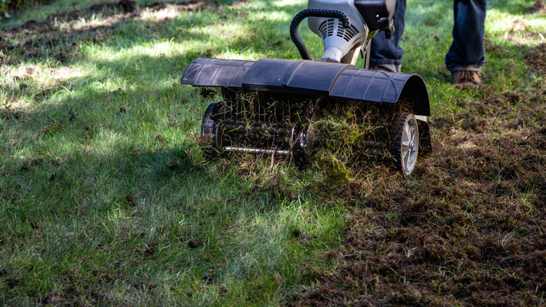 Person using a dethatching machine to remove thatch from the lawn