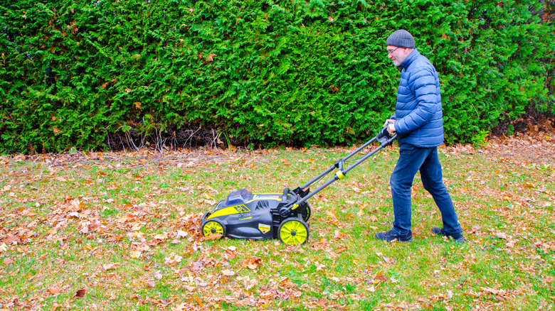 Man using push mower in the fall with leaves on the ground
