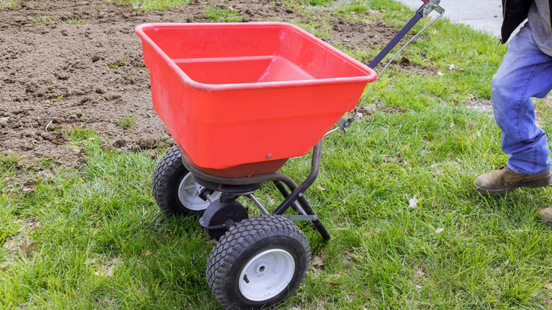 Person spreading grass seed on an established lawn with spreader