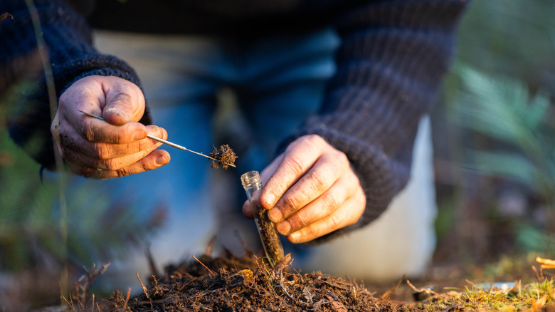Person scooping soil into a tube to perform a soil test