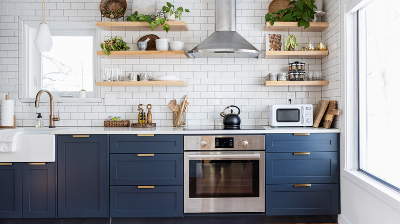 Built-in oven in the middle of blue cabinets in a kitchen