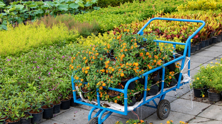 garden cart