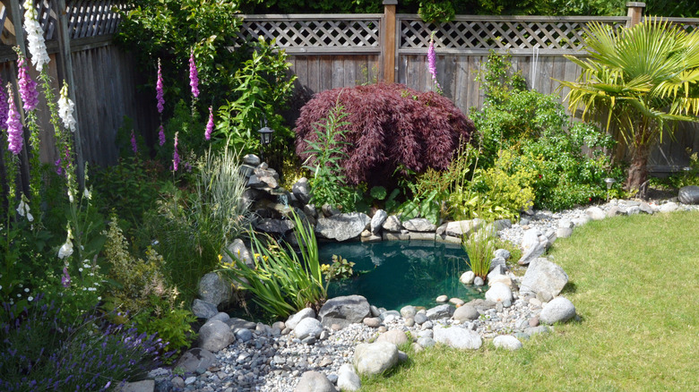 A simple backyard pond in a corner of the yard