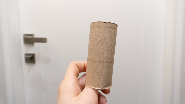 Hand holding an empty toilet paper tube