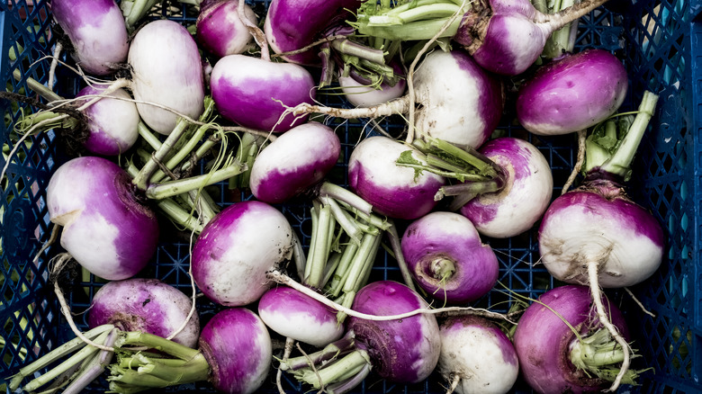 pink and white turnips in a plastic wire basket