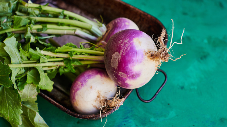 Three turnips with their leaves sit on a wooden tray.