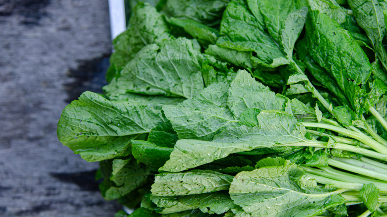 Freshly harvested mustard greens