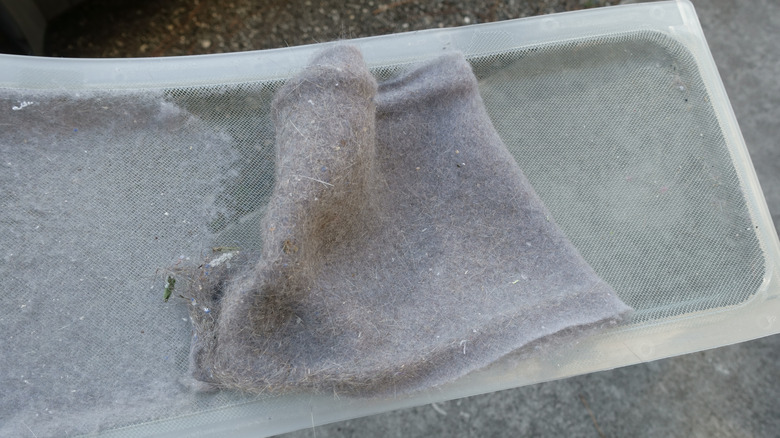 A thick layer of dryer lint on a filter screen