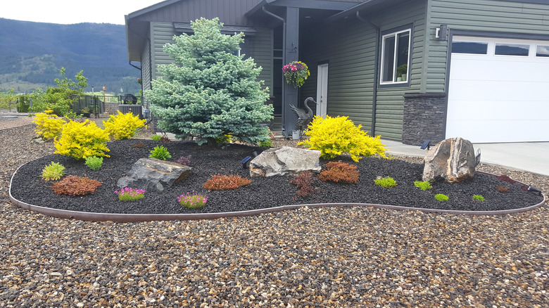 A gravel xeriscape with water-wise plants.