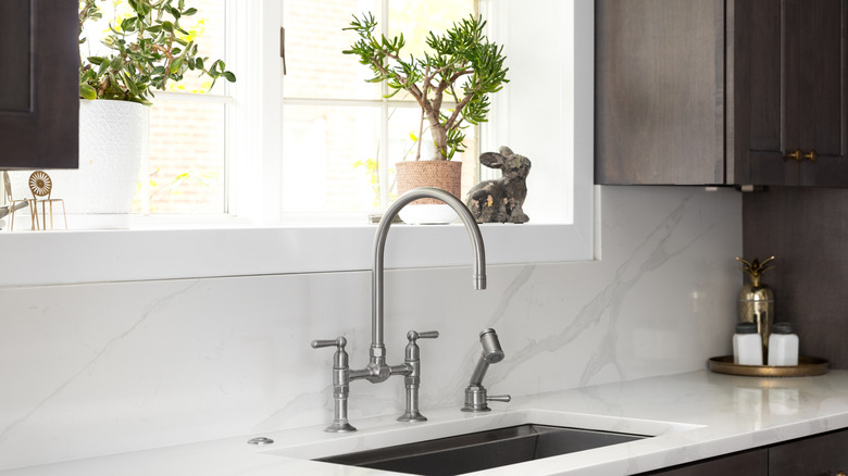 Nice looking kitchen faucet