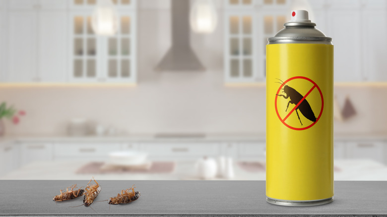 A can of insecticide on a kitchen counter with dead bugs next to it.