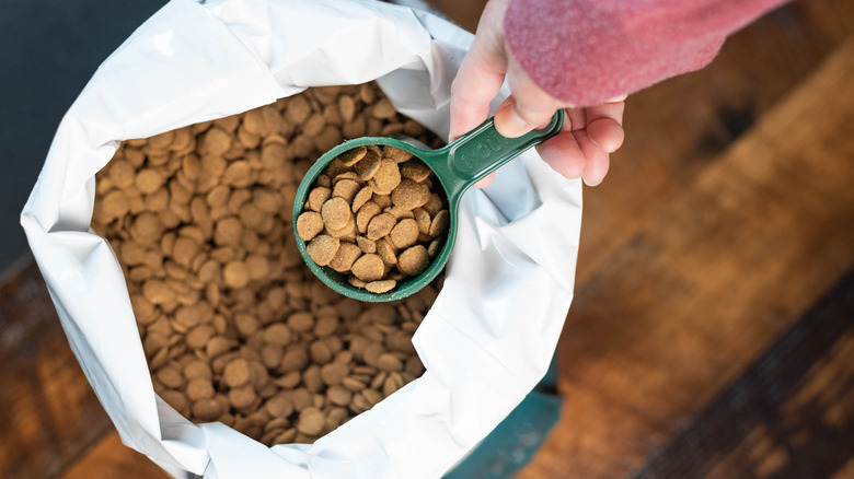 A bag of pet food with a scoop of kibble being taken out.