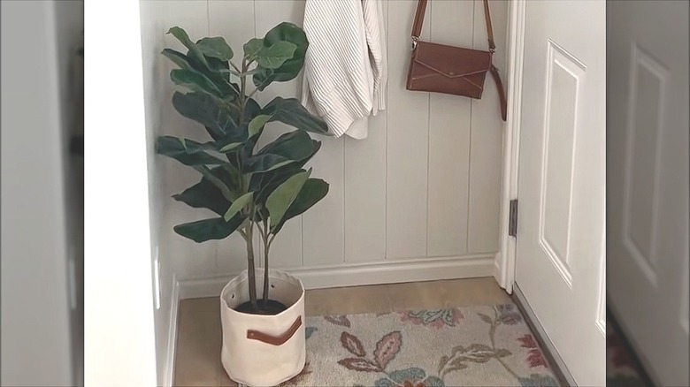 Entryway with tall plant in the corner