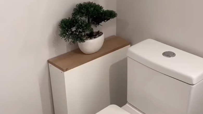 backwards shelves beside toilet