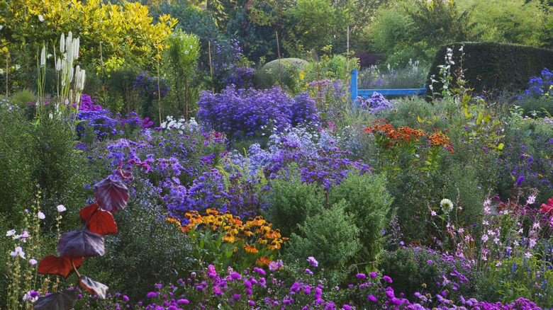 English-style cottage garden in fall full of perennials