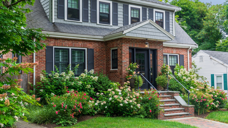 Flowering plants around a house's front yard