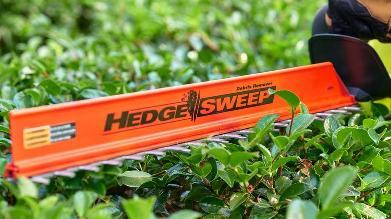 a person uses the 40v ryobi hedge trimmer