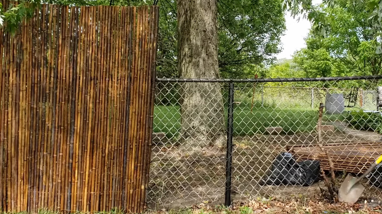 Bamboo-covered chain link fence at night with solar lights shining on it