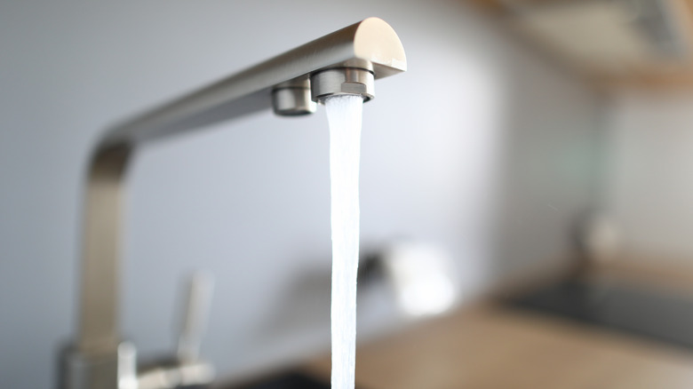 Kitchen faucet