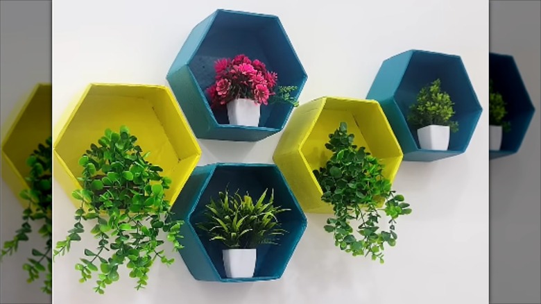 Brightly colored hexagon shelves with plants for wall display