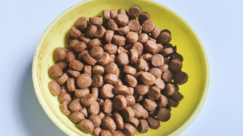 pet kibble in yellow bowl