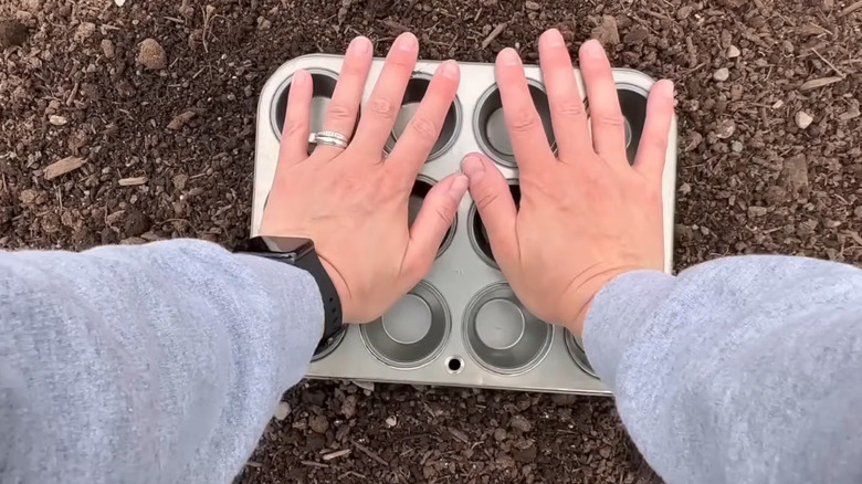 Person pressing a mini muffin pan into the soil to make impressions for planting seeds
