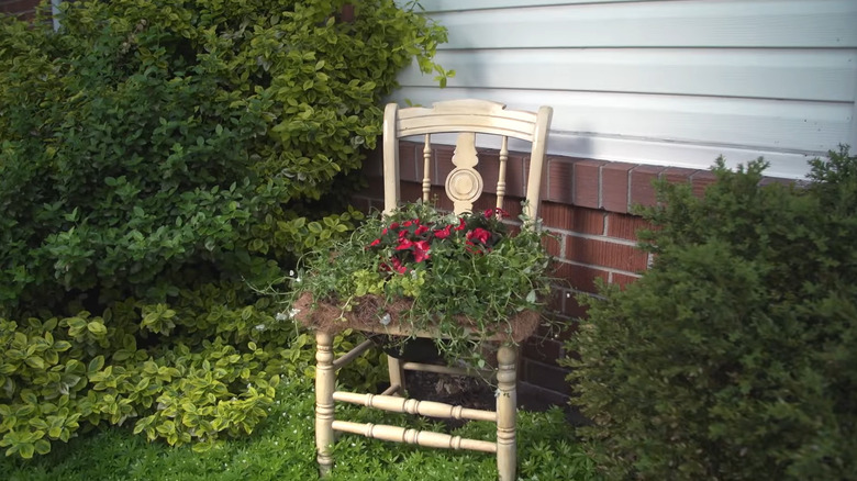 Cream-colored dining chair with the seat removed and flowers planted in it sitting next to a house
