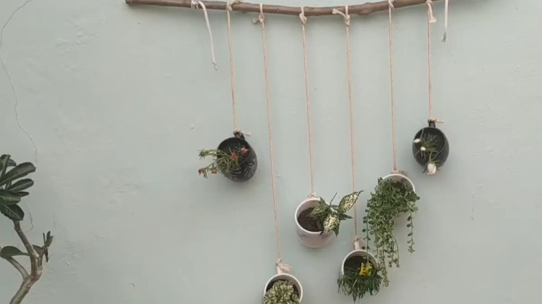 Mugs hanging off of a sturdy stick with twine featuring small plants growing inside