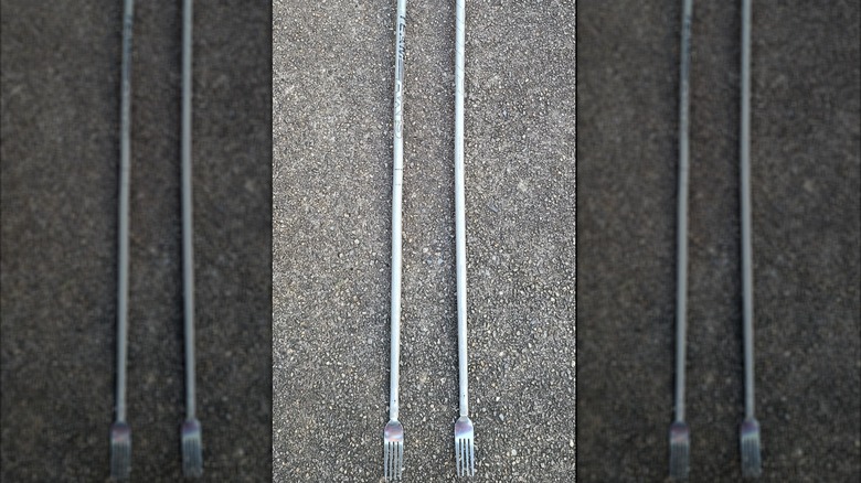 Two ski poles with forks on the bottom as roasting sticks.