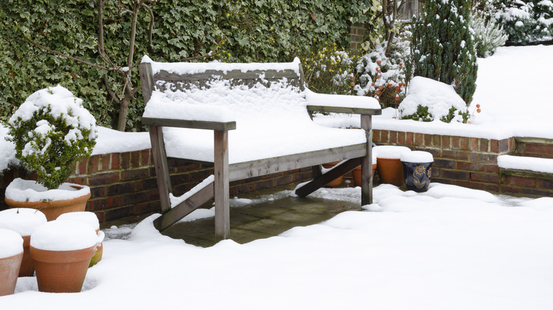 A snow covered bench on a patio surrounded by plants