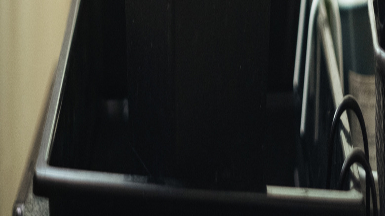 A ponytail palm grows in an indoor planter placed in a sunny room