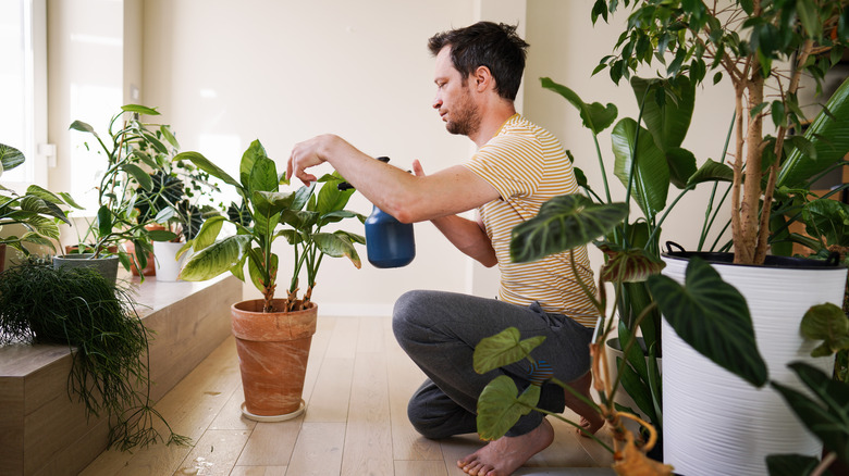 A man kneeling while watering a plant in his home