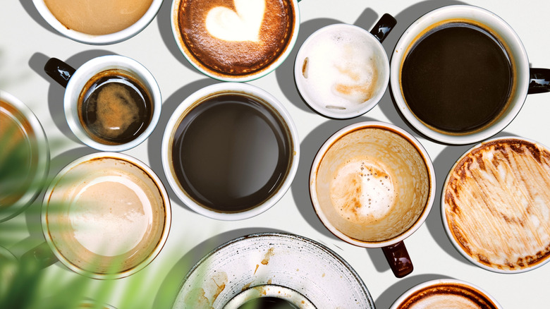 Dozens of mugs filled with different liquids, or empty cups