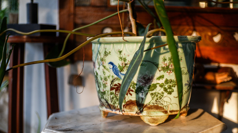 vintage floral planter on table