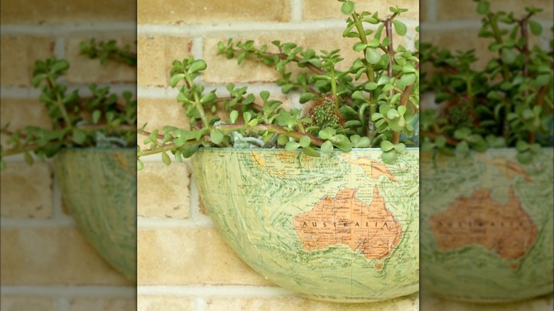 A globe planter on a brick wall with a plant inside