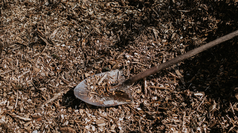 Shovel on top of wood mulch