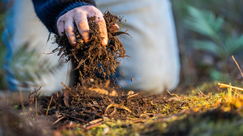 Hand grasping compost from a compost pile